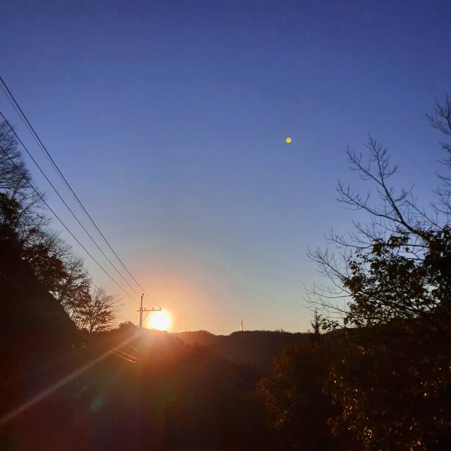 【歩夢からのお知らせ⁡】⁡