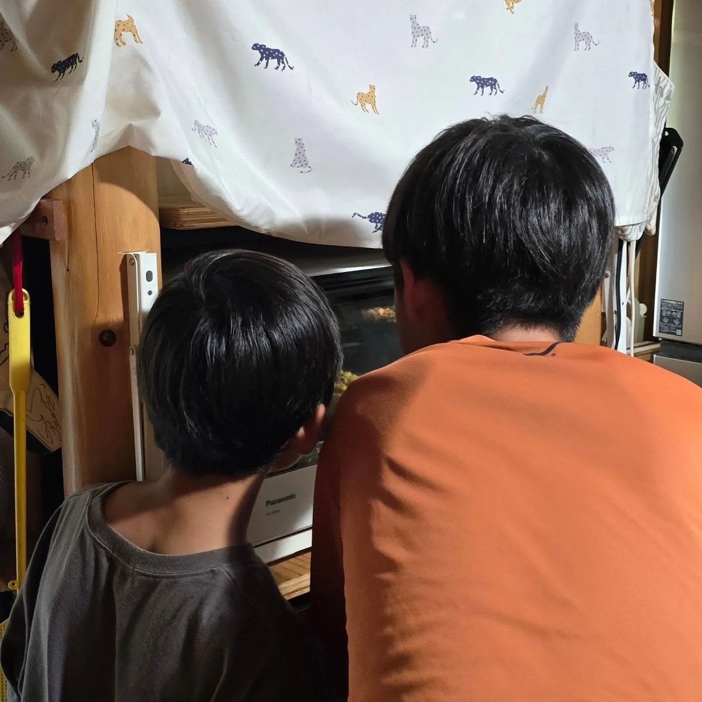 【活動報告】